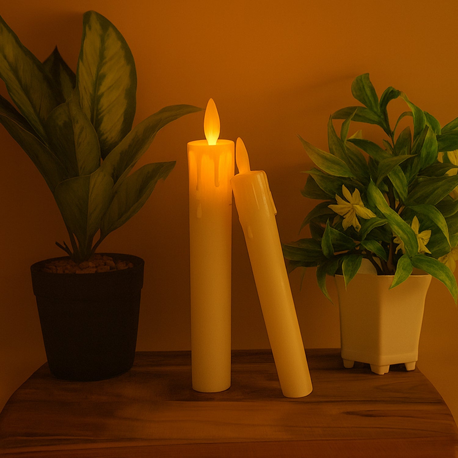 Taper Candle Taper Candle